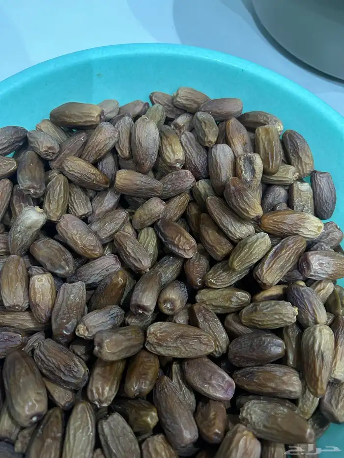تمرة دقلة النور تونسي 3