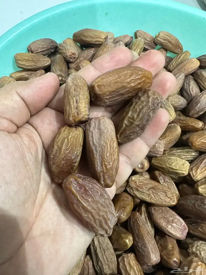 تمرة دقلة النور تونسي 2