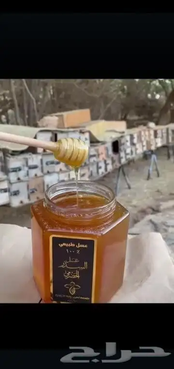 عسل سدر مضمون على الشرط 1