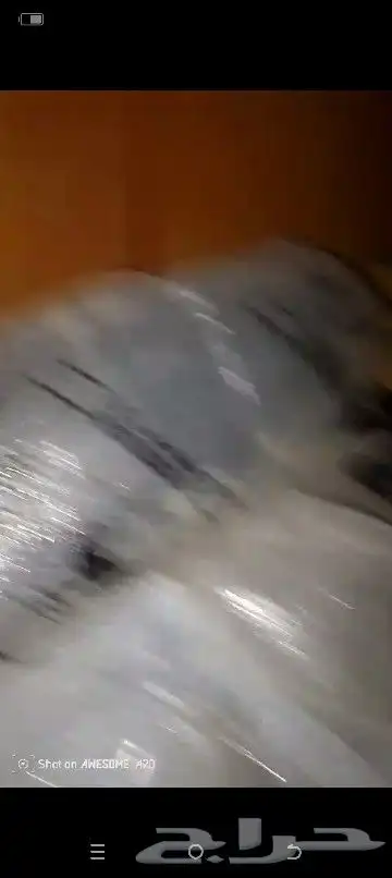صدام امامي جيب شاص 3