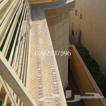 طرد الحمام شبابيك شوك 0