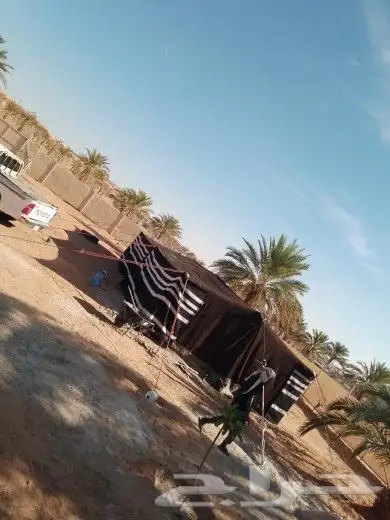 مركب مخيمات وبيوت الشعر تفصيل الخيام الملكي والعادي فك وتركي 10