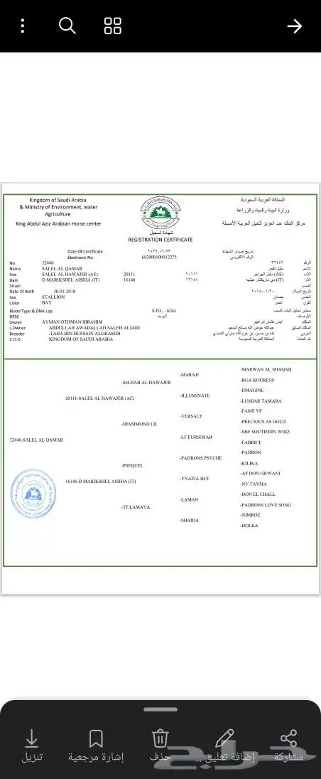 حصان مكس واهو 4