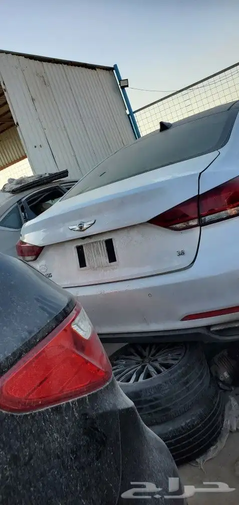 جينسس 2016 8