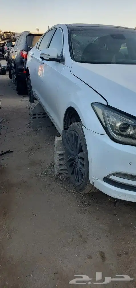 جينسس 2016 5