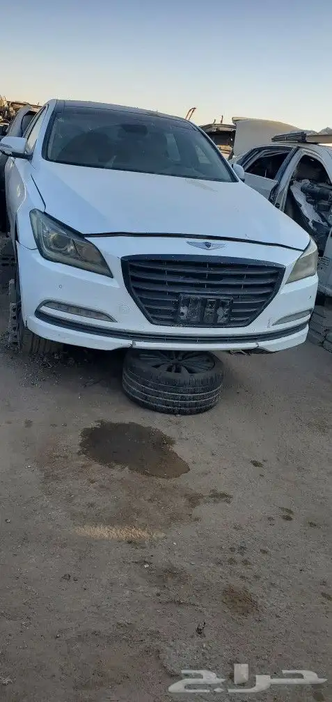 جينسس 2016 1