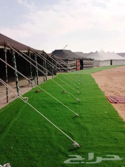 مركب مخيمات وبيوت الشعر تفصيل الخيام الملكي والعادي فك وتركي 11