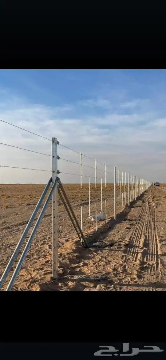 مقاول شبوك وسياج وتوريد نخيل 0