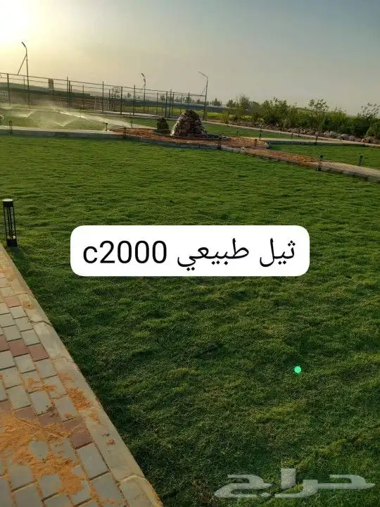 تيل طبيعي C2000 1