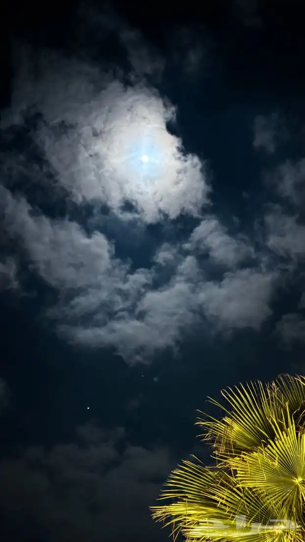 دورات تصوير احترافيه با الجوال 7