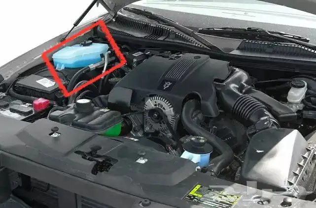 قربة مساحات لنكون تاون كار 4