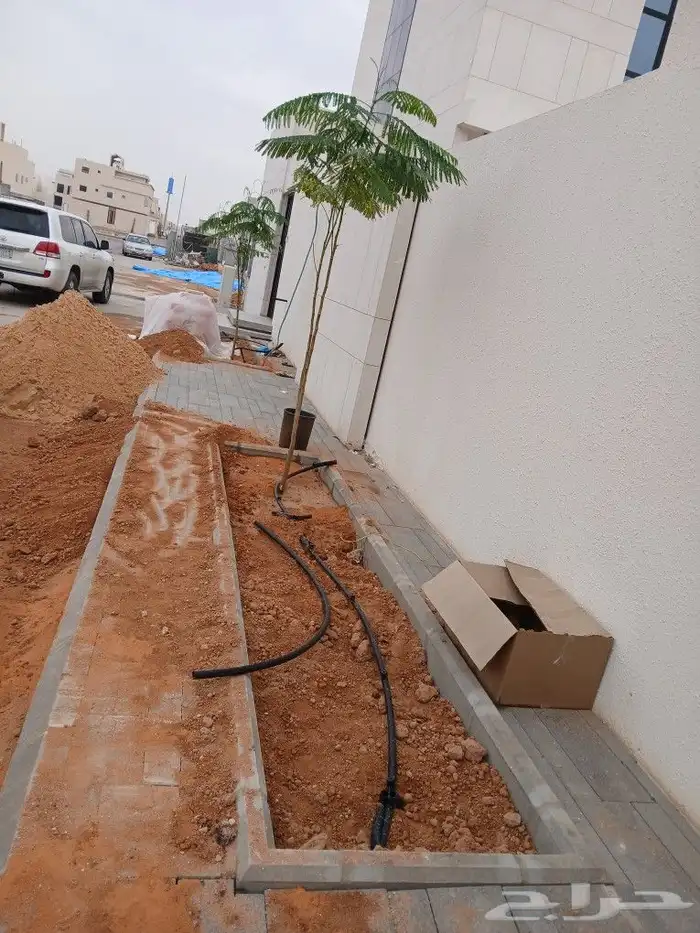 ثيل طبيعي وعشب صناعي 4