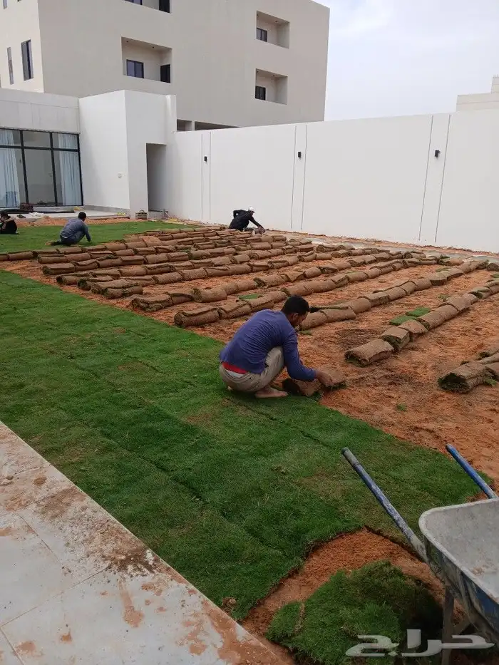 ثيل طبيعي وعشب صناعي 1