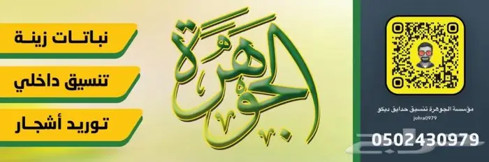 اشجار زيتون 2