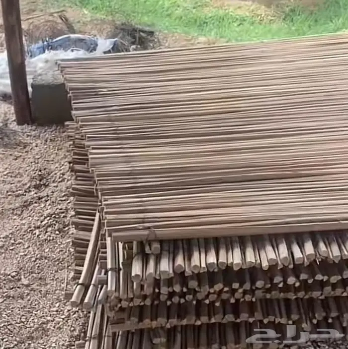 سعف نخل مخزوز شغل من الخر 1