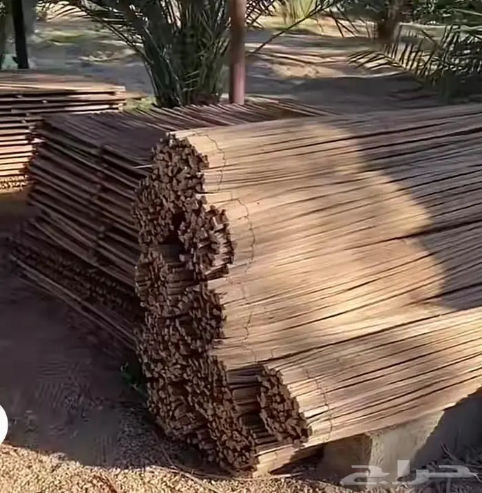 سعف نخل مخزوز شغل من الخر 2