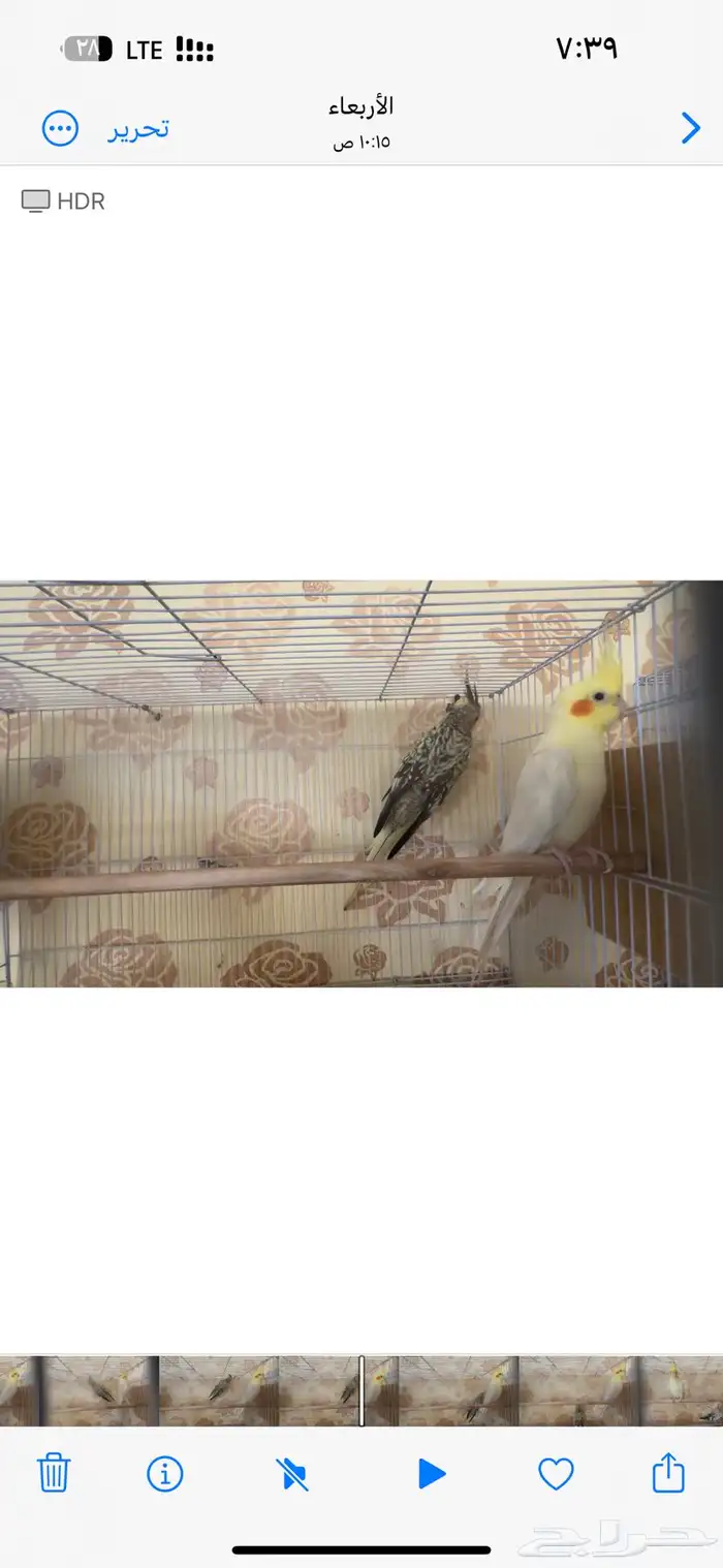 جوزين كيروان 10