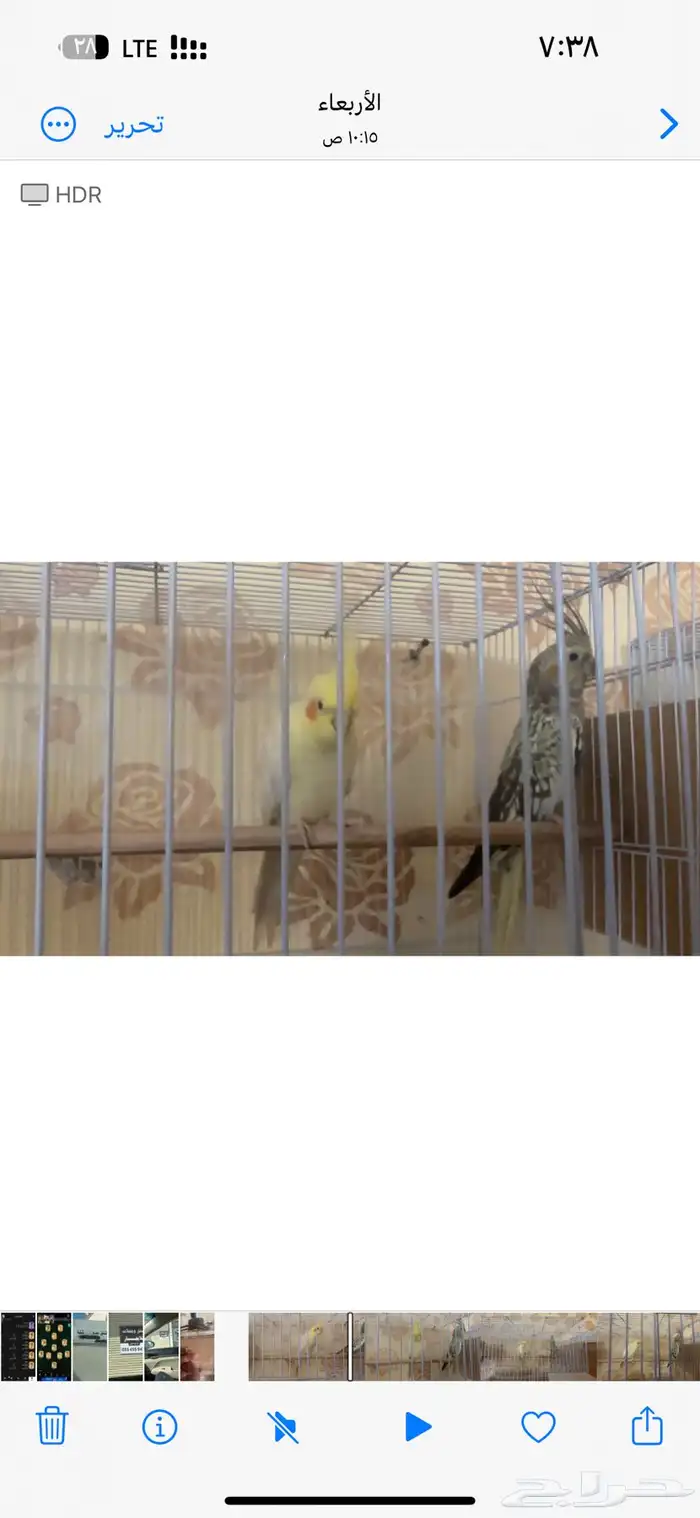 جوزين كيروان 14