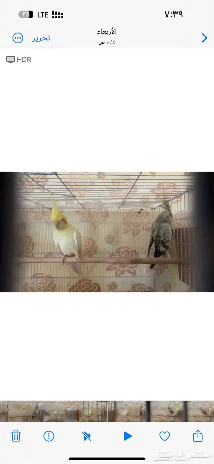 جوزين كيروان 12