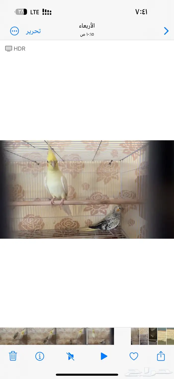 جوزين كيروان 11