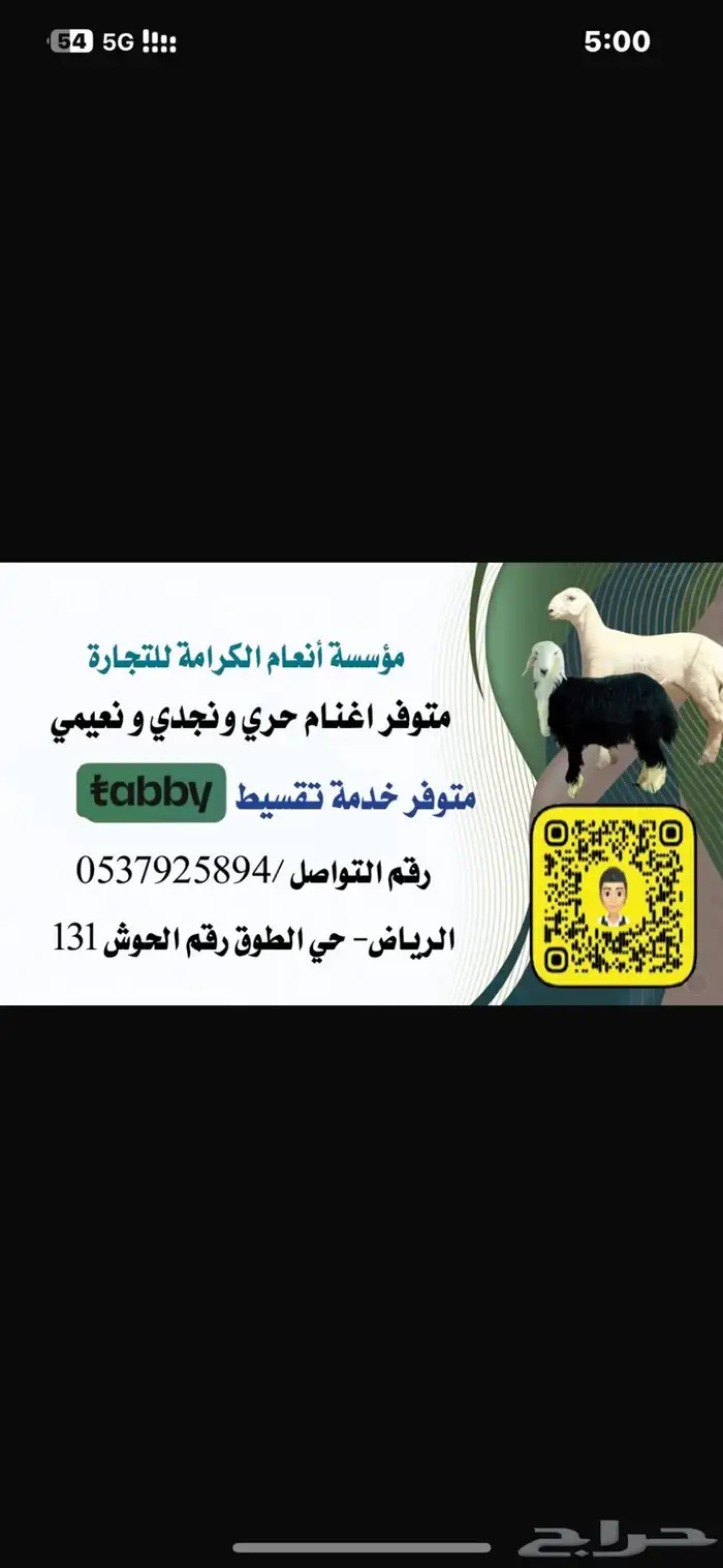 بيع اغنام متوفر تقسيط تابي وتمارا 1