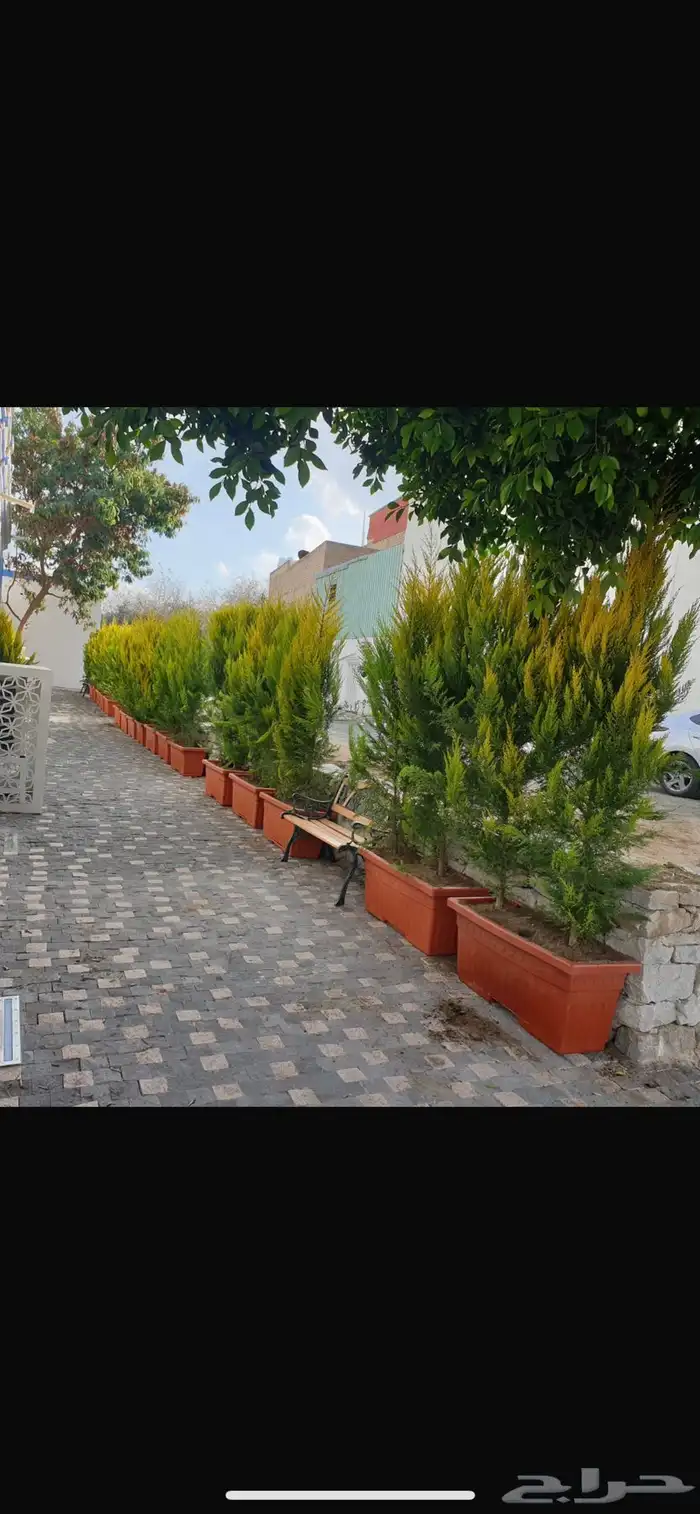 تنسيق حدايق   تركيب شبكة ري احواض زراعية   نجيله   نحيل 2