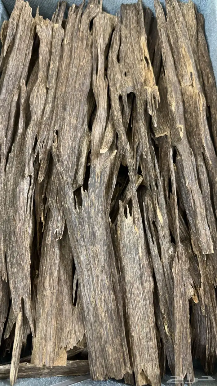 هندي تربل سوبر 1