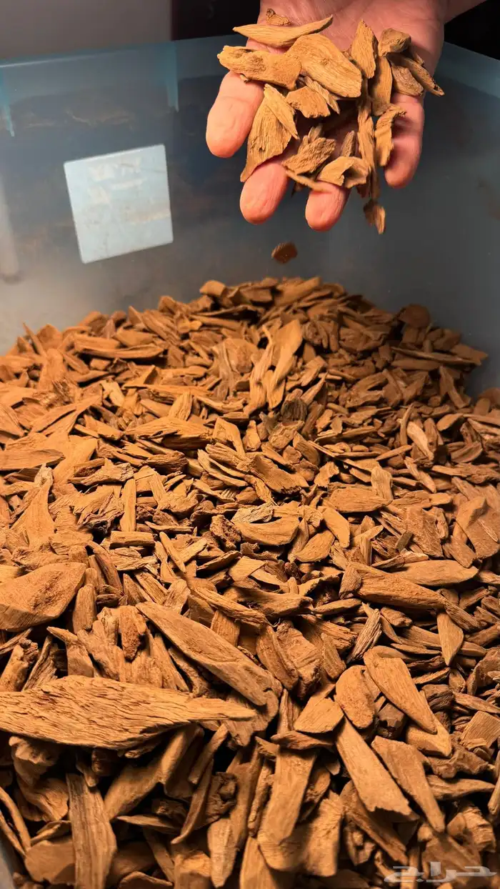 مروكي سوبر ميني 0