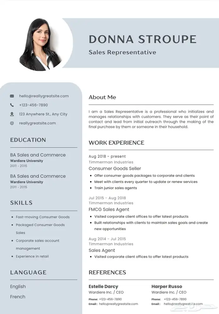 سيرة ذاتيه بنظام ATS-سيره ذاتيه احترافيه- ATS Cv 2