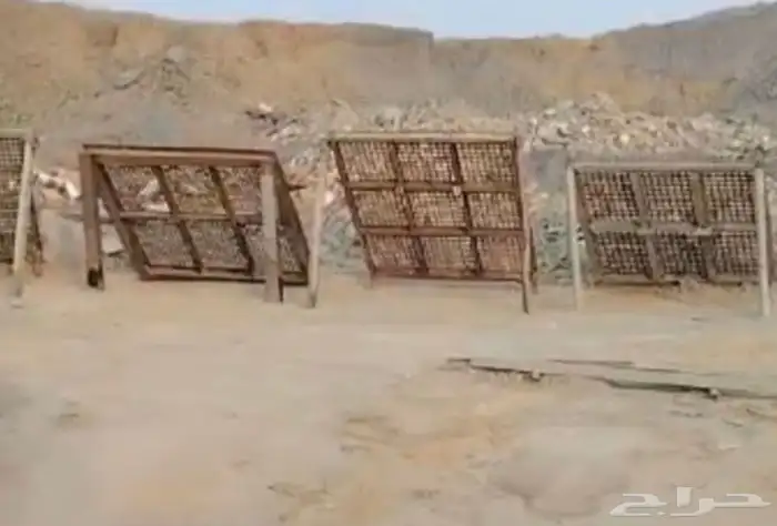 غربال ايجار في جدة 2