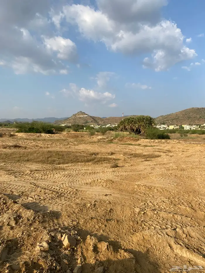 أرض زراعية للإيجار في مركز الحقو 5