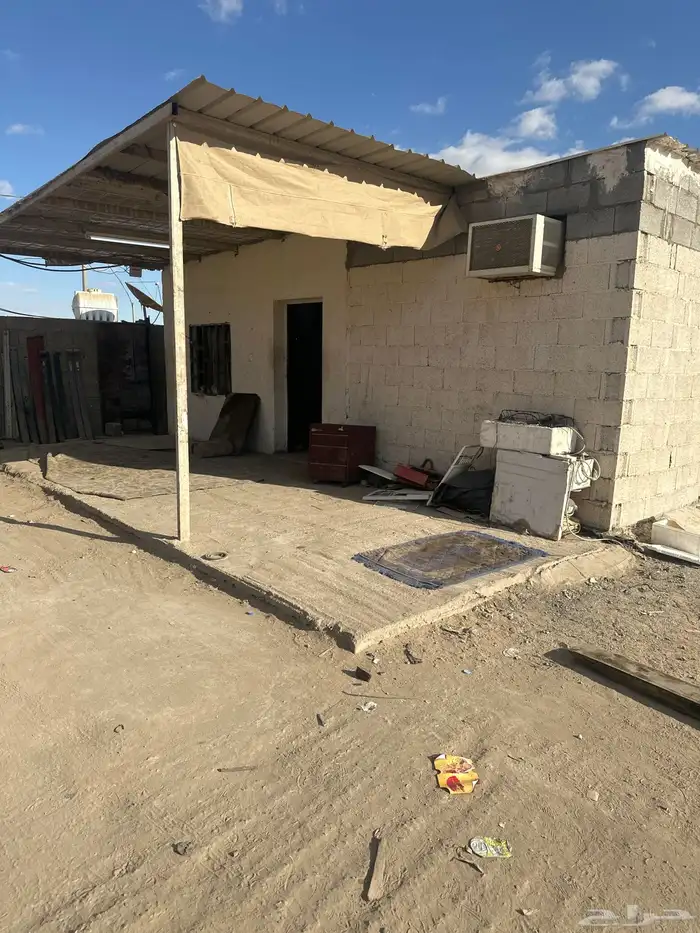 ورشة متكاملة لل تقبيل 7