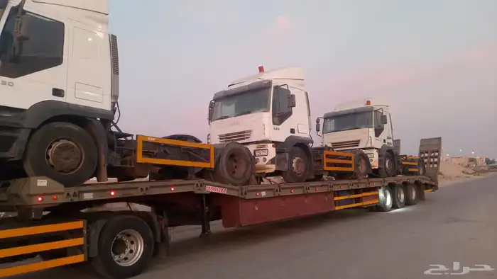 لوبد متواجد في خميس مشيط ووادي بن هشبل 0