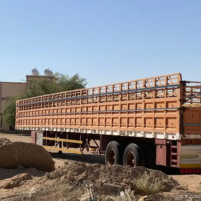 تياذر نظيفه 3