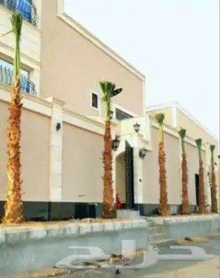 نخيل للبيع جميع الأنواع والمقاسات عربي وزينه واشنطني وتركيب 1