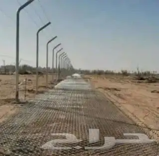 نخيل للبيع جميع الأنواع والمقاسات عربي وزينه واشنطني وتركيب 2