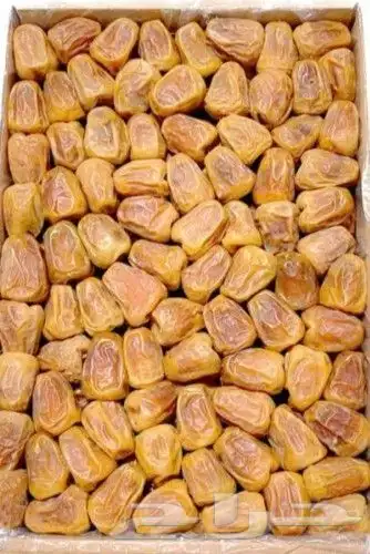 تمور ام عبدالله الغامدي 4
