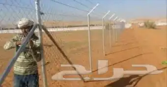 نخيل للبيع جميع الأنواع والمقاسات عربي وزينه واشنطني وتركيب 5