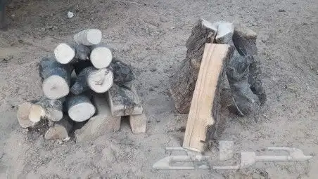 فحم وحطب مستورد 2