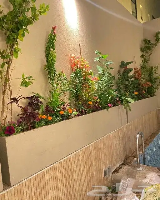 زراعه طبعيه 0
