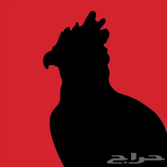 مصمم جرافيك محترف 2D 3