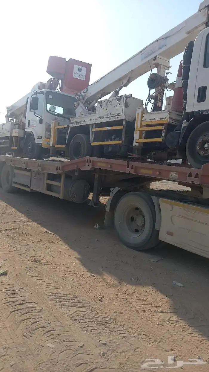 لوبد في المجمعة 3