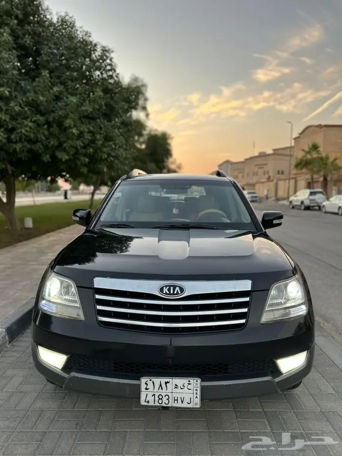 موهافي فل الفل 2012 9