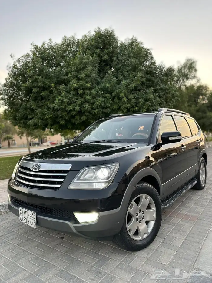 موهافي فل الفل 2012 39