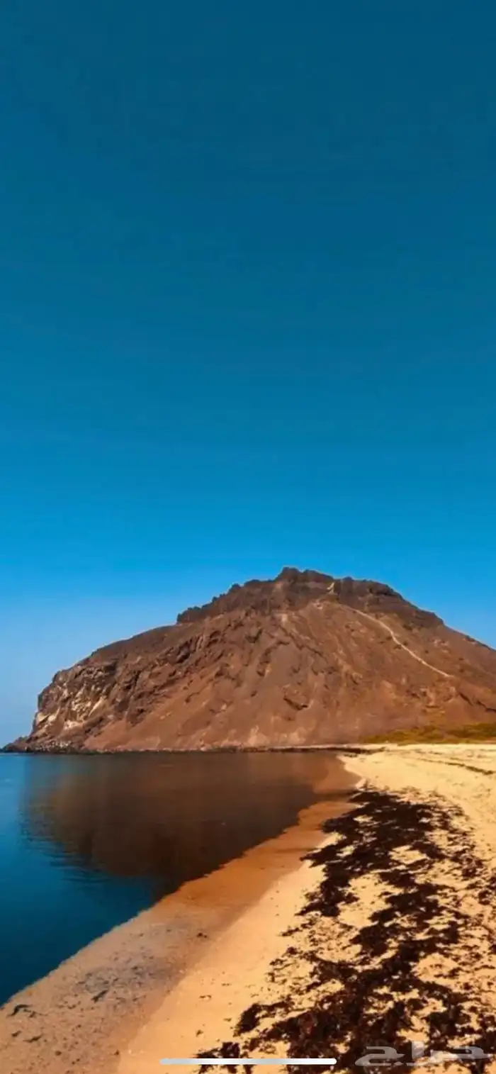 قارب صيد وجولات سياحية شباب وعوائل بمرسى القحمة 0