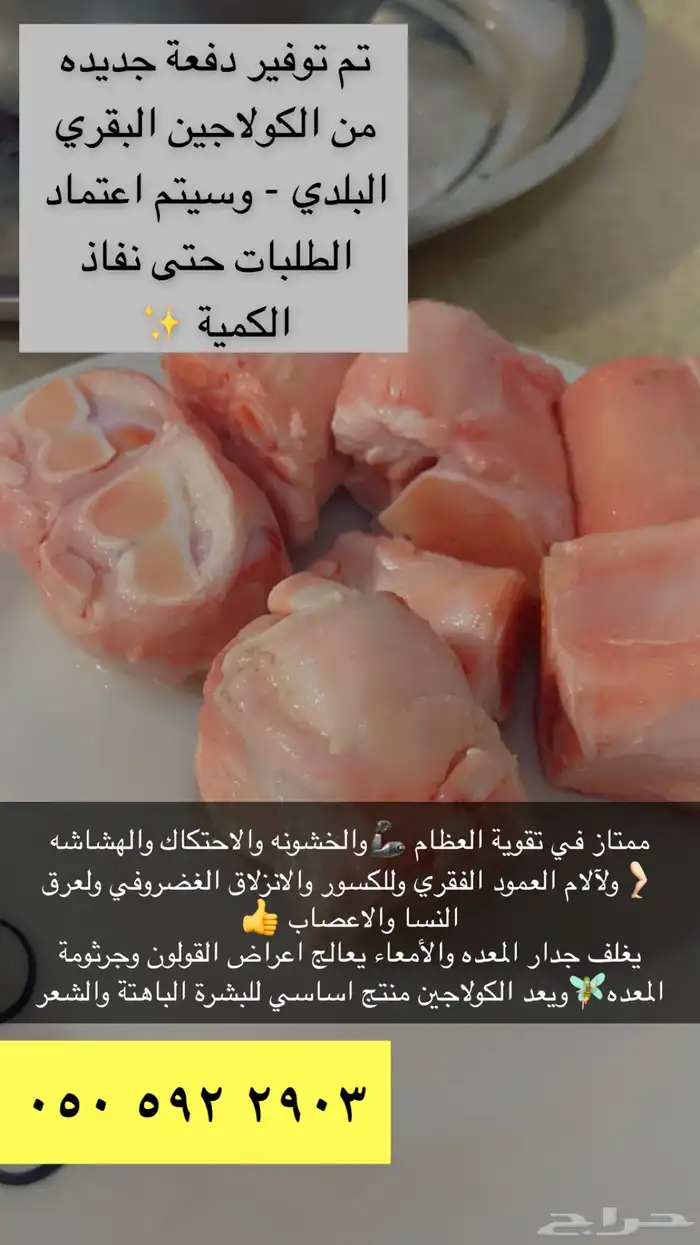 كولاجين بقر بلدي 2