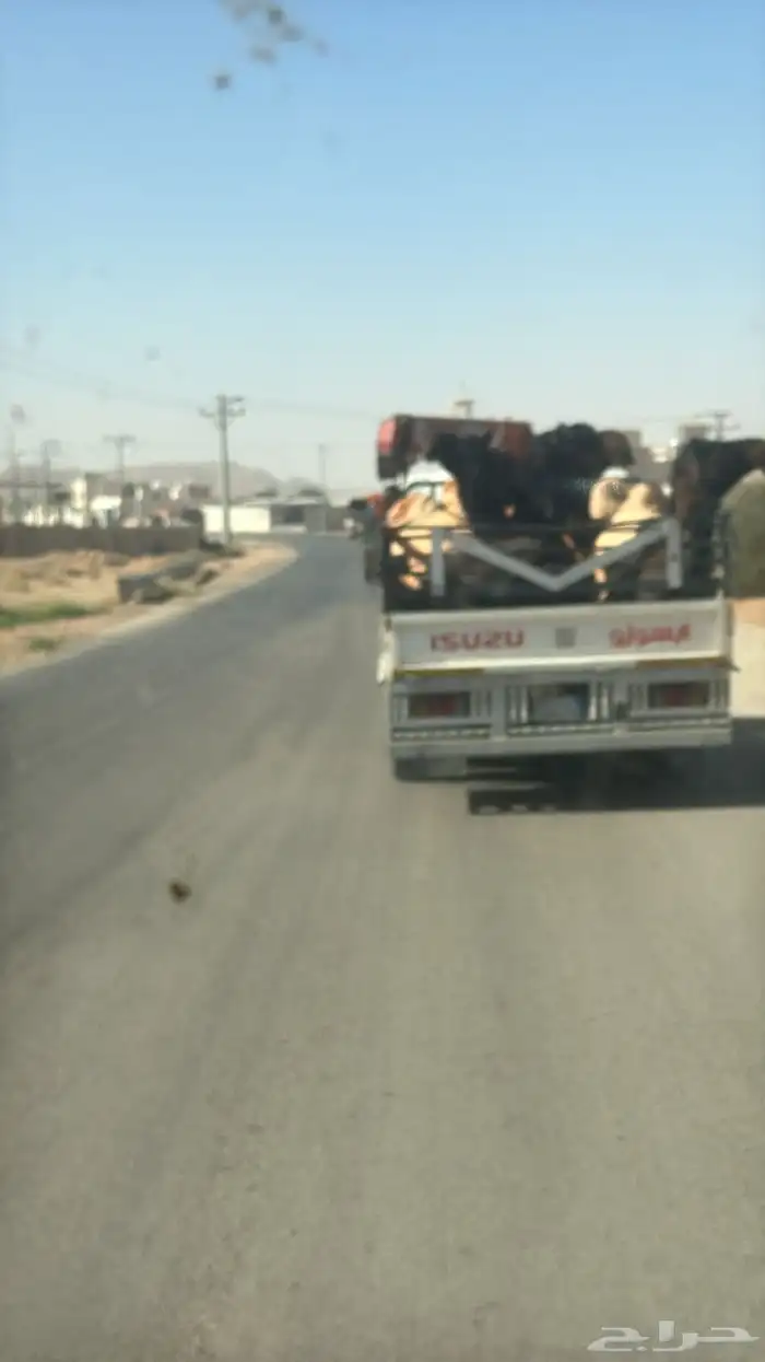 متواجد بالقصيم متوجه للرياض دنة ونش 0