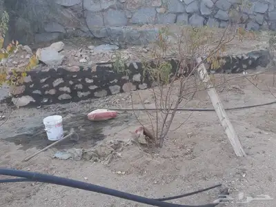 معلم حجر 0
