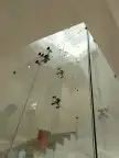 تركيب زجاج سيكوريت تفصيل زجاج سكريت مرايات 9