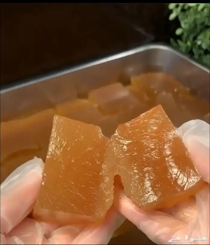 مستخلص عظم العجل البلدي كولاجين طبيعي 0